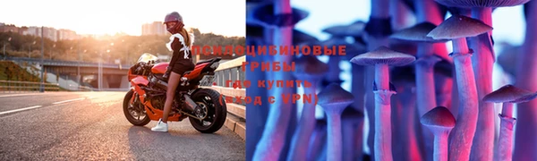 прущая мука Богданович