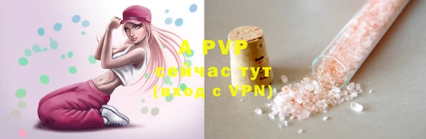 ECSTASY Богородск