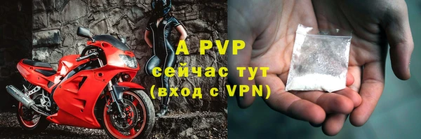 прущая мука Богданович