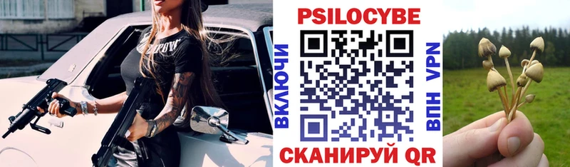 Псилоцибиновые грибы Magic Shrooms  даркнет сайт  Боготол 